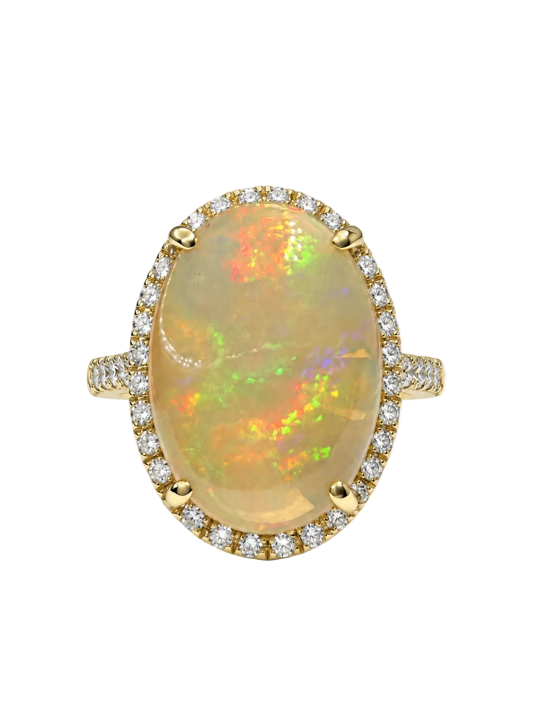 Img 1375