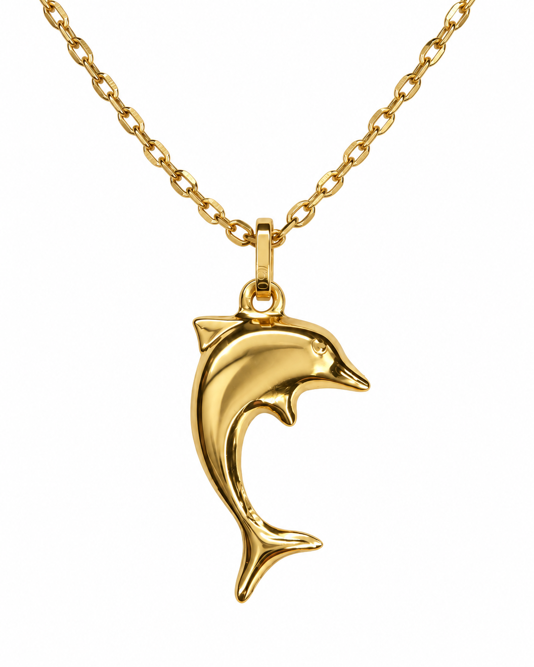 Dolphin
